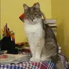 Отзыв от Галя Мальцева